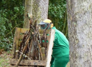  Paintball-Verteidigung 